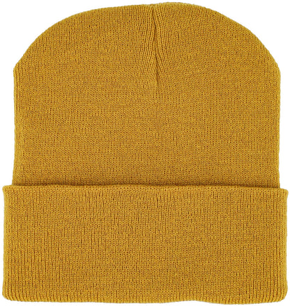 BEANIES LEATHER PATCH